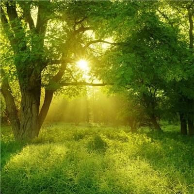 足球下赌注app-登录入口